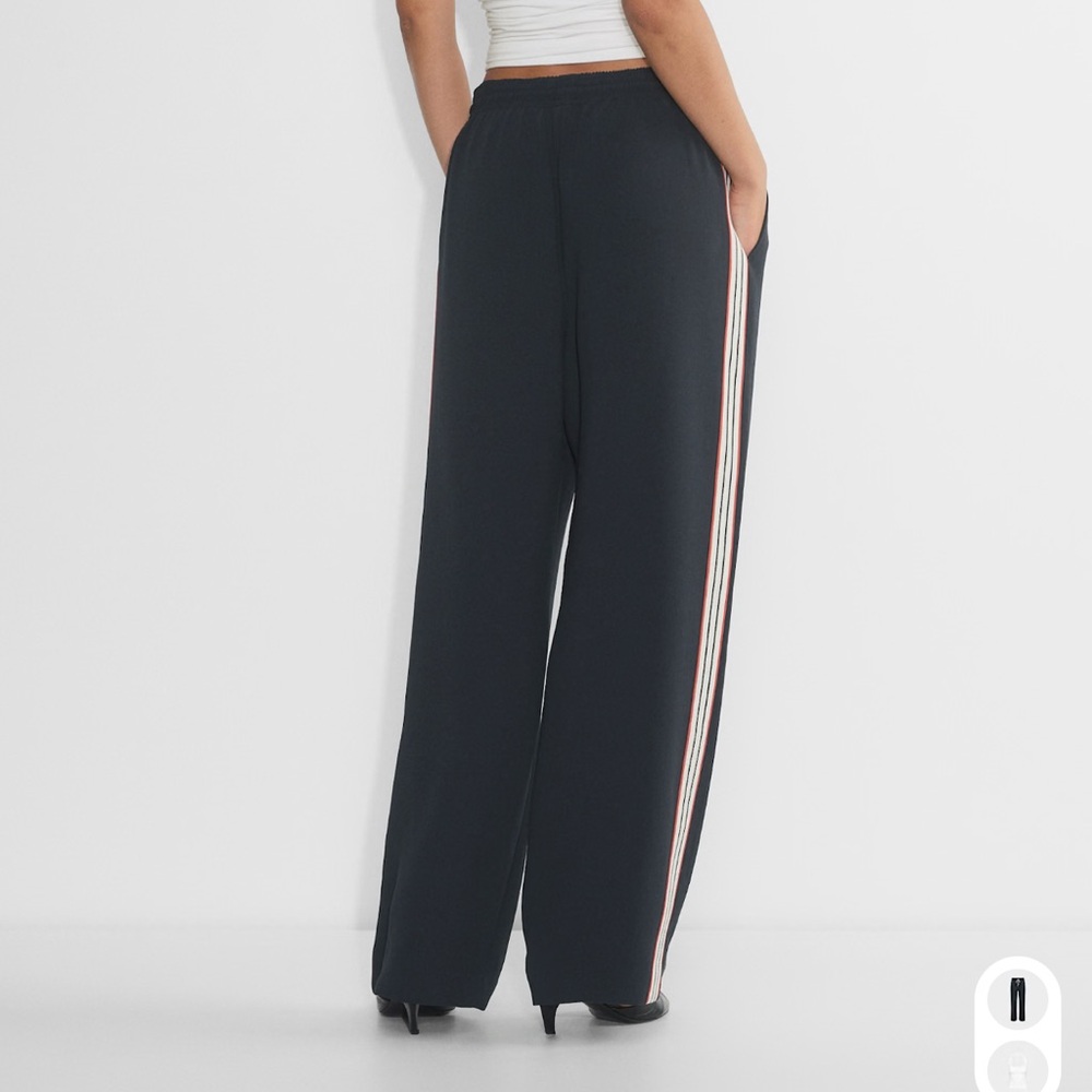 Aritzia Thesis Pant - Crepette - Picture 3 of 3